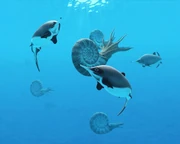 Life reconstruction of Nannopterygius