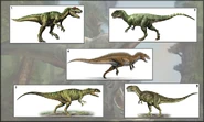 Allosauridae.jpg (112 KB)