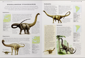 Cretaceous miscellaneous titanosaurs