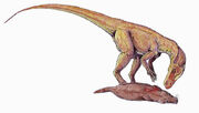 Herrarasaurus feeding