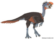 Oviraptor 03