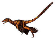 Sinornithosaurus millenii