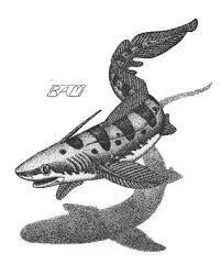 xenacanthus