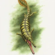 92550325 176243796807949 2170071052728711275 n.jpg (46 KB)