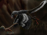 Archaeopteryx