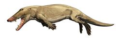 Artist’s.impression.of .i.Ambulocetus.natans.i.by .Carl .Buellreproduced.courtesy.of .Carl .Buell .Buell .Carl 