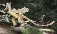 Linheraptor NT.jpg (35 KB)