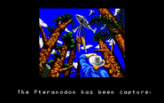 Pteranodon captured