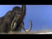 Walking With Beasts BBC -6- - Mammoth Journey (part 3)