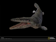 Tylosaur-sw.jpg (124 KB)