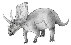 800px-Sketch chasmosaurus.jpg