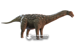 Deinocheirus  3D Dinopedia