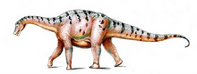Bonitasaura.png