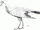 Eocathayornis