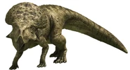 Protoceratops