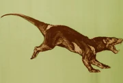 Illustration of Arctodictis sinclairi