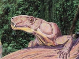 Phthinosuchus