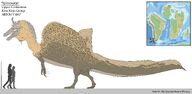 Spinosaurus Model B Petite Paleoartist