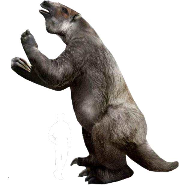 megatherium size