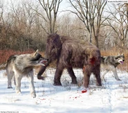 Dire-wolf-attacking-woolly-mammoth.jpg (262 KB) Dire-wolf-attacking-woolly-mammoth