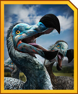 Dodo Bird Facts  Raphus cucullatus - A-Z Animals