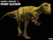 Dwarf allosaur