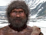 Homo heidelbergensis