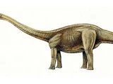 Amygdalodon