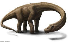 Artist Rendering 2 - Hall - Dreadnoughtus reconstruction