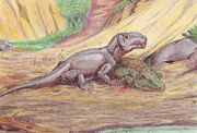 Brithopus with Eryops