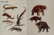 Early Reptiles collection