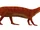 Neoaetosauroides