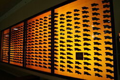 800px-Dire Wolf Skulls La Brea 2005-08-01