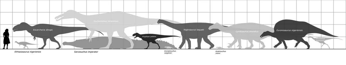 araripesuchus