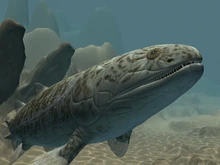 Gogofish-holding-image