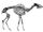 Palaeogiraffa