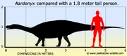 Aardonyx size compared to an average adult.