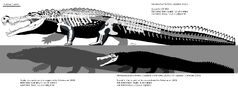 Study Confirms the Power of Deinosuchus & its 'Teeth the Size of