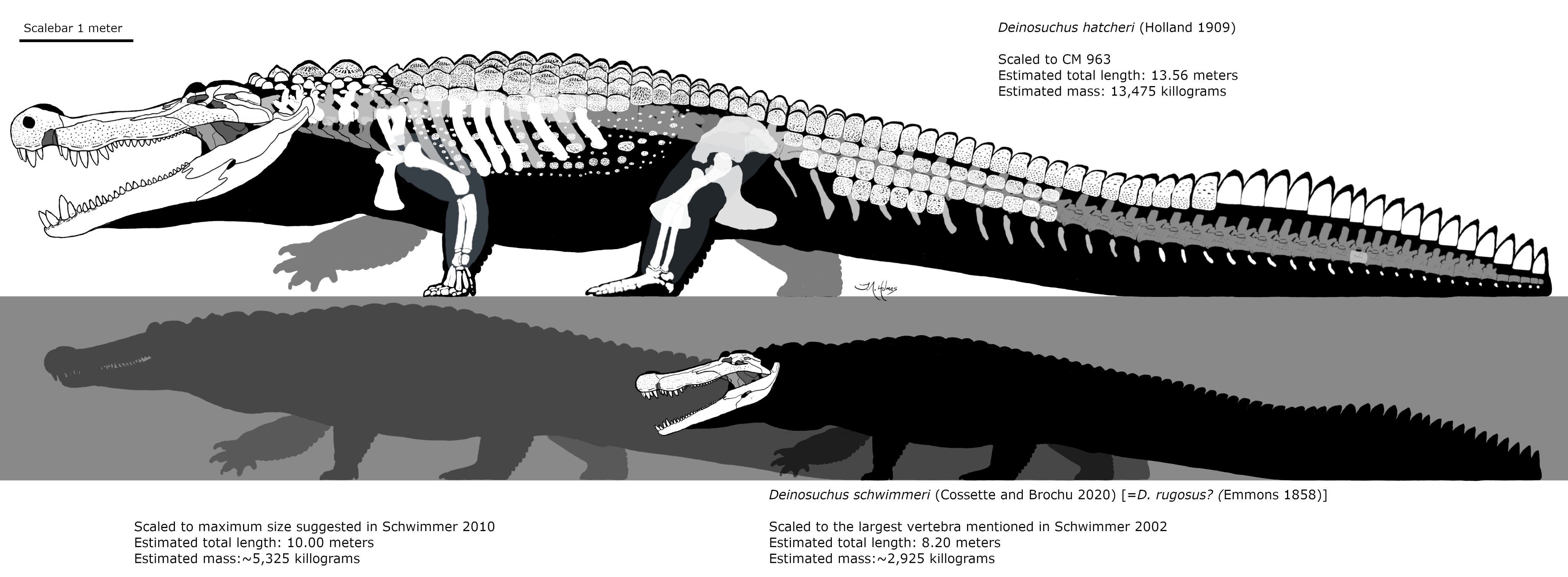 subtle-wolf552: The family of Deinocheirus are standing in the shallow  waters of the lake, their long necks bent gracefully as they lower their  heads to drink. Their bodies are covered in a