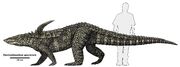 DesmatosuchusSize