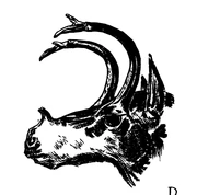 Historical depiction of Sinclairomeryx as the "four horned deer"