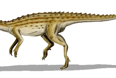 Tyrannomimus | Prehistoric Wiki | Fandom