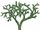 Valmeyerodendron