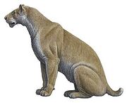 Xenosmilus
