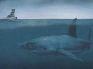 Big megalodon .jpg (35 KB)
