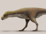 Rahiolisaurus
