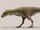 Rahiolisaurus