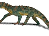 Uatchitodon