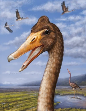 Conflicto antarcticus