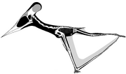 Shenzhoupterus